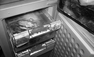 三个保证冰箱清洁的方法 保证食品安全