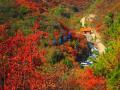 仙台山，让人迷醉其间的红叶天堂