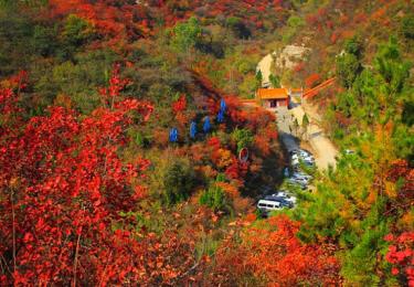 仙台山，让人迷醉其间的红叶天堂